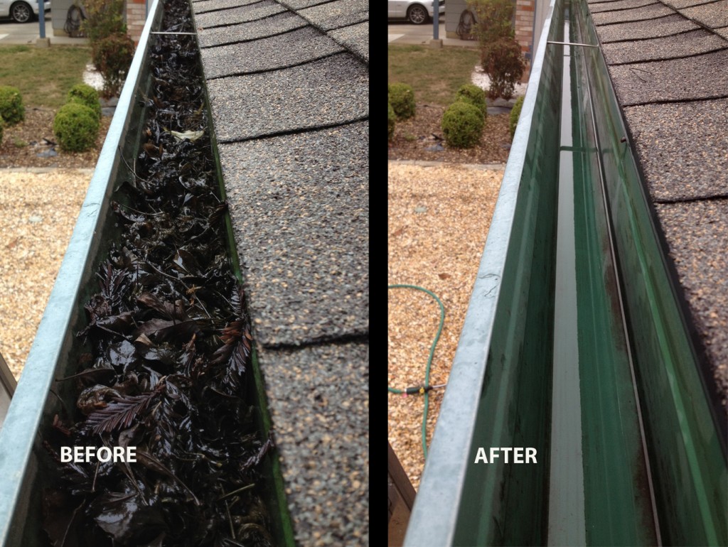 Gutter cleaning before and after, north metro MN